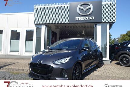 Mazda 2 Hybrid Gebrauchtwagen