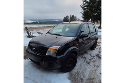 Ford Fusion Gebrauchtwagen