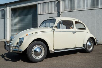 VW Käfer Gebrauchtwagen