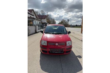 Fiat Panda Gebrauchtwagen