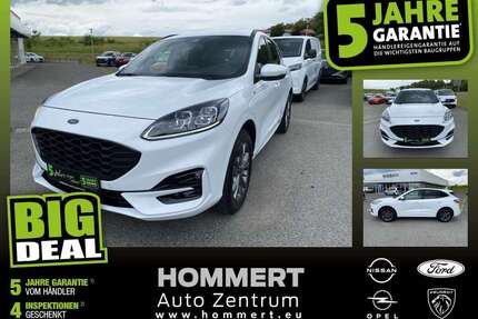 Ford Kuga Gebrauchtwagen