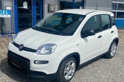 Fiat Panda Gebrauchtwagen