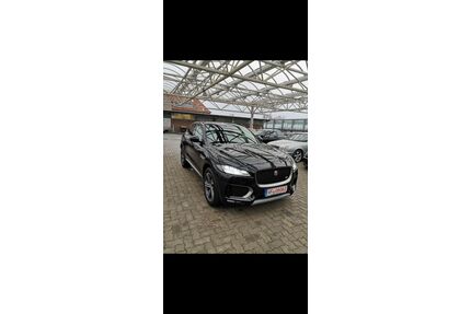 Jaguar F-Pace Gebrauchtwagen