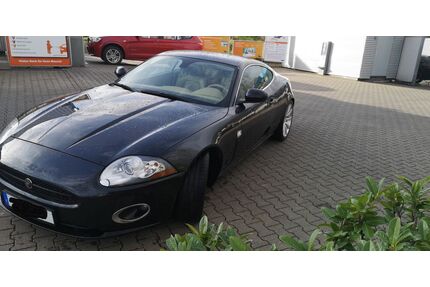 Jaguar XK Gebrauchtwagen