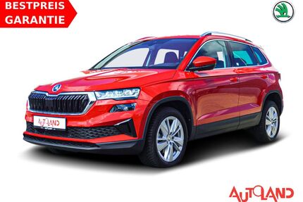 Skoda Karoq Gebrauchtwagen