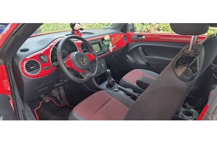 VW Beetle Gebrauchtwagen