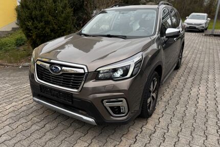 Subaru Forester Gebrauchtwagen