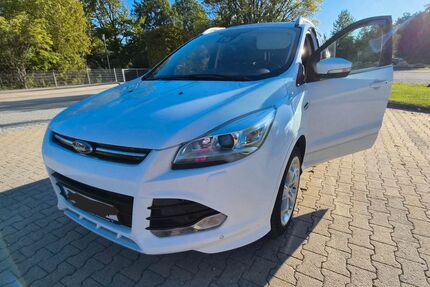Ford Kuga Gebrauchtwagen