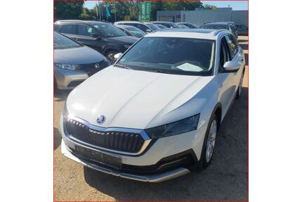 Skoda Octavia Gebrauchtwagen