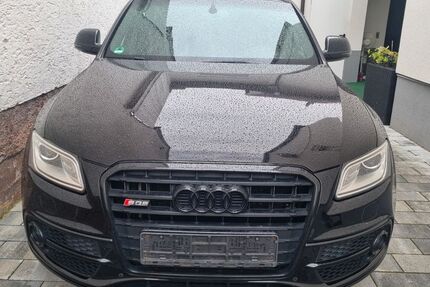 Audi SQ5 Gebrauchtwagen