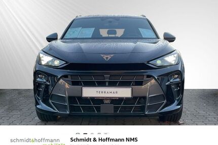 Cupra Terramar Gebrauchtwagen