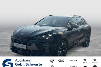 Cupra Terramar Gebrauchtwagen