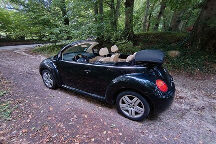 VW Beetle Gebrauchtwagen