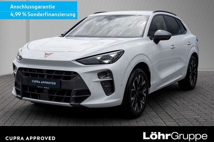 Cupra Terramar Gebrauchtwagen