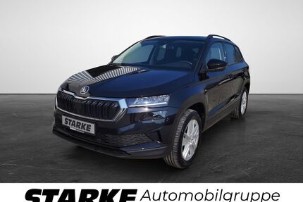 Skoda Karoq Gebrauchtwagen