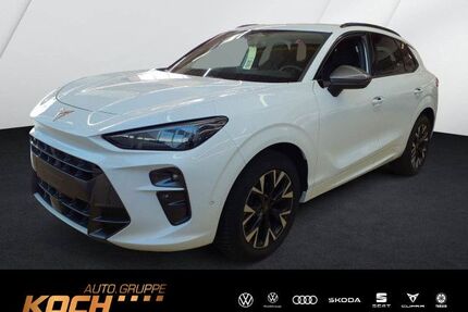 Cupra Terramar Gebrauchtwagen