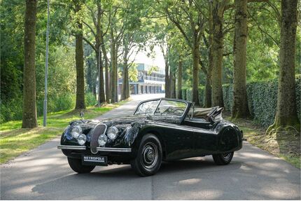 Jaguar XK Oldtimer