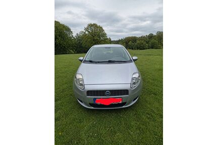Fiat Punto Gebrauchtwagen