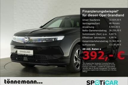 Opel Grandland (X) Gebrauchtwagen