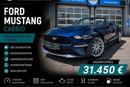 Ford Mustang Gebrauchtwagen
