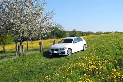 BMW 118 Gebrauchtwagen