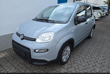 Fiat Panda Gebrauchtwagen
