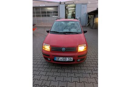 Fiat New Panda Gebrauchtwagen