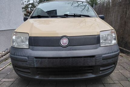 Fiat Panda Gebrauchtwagen