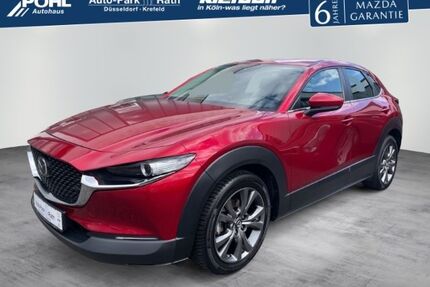 Mazda CX-30 Gebrauchtwagen