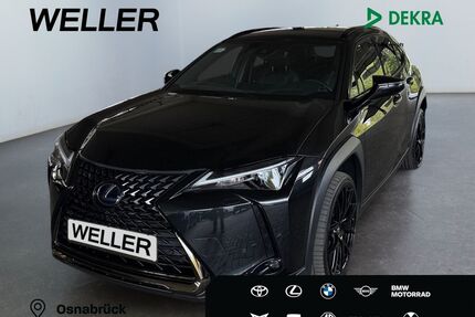 Lexus UX Gebrauchtwagen