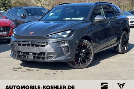 Cupra Terramar Gebrauchtwagen