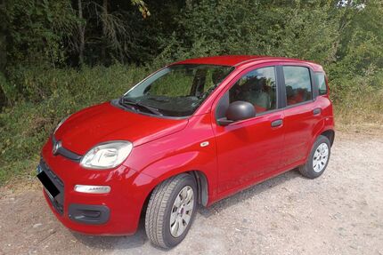 Fiat New Panda Gebrauchtwagen