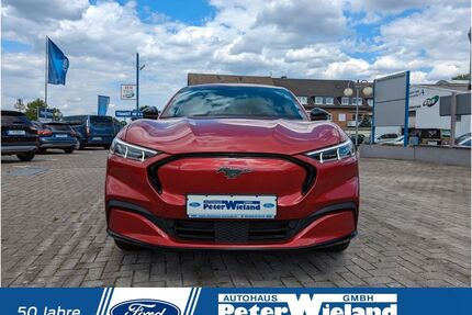 Ford Mustang Mach-E Gebrauchtwagen