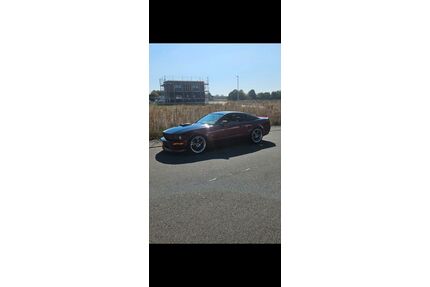 Ford Mustang Gebrauchtwagen