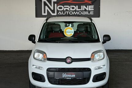 Fiat Panda Gebrauchtwagen