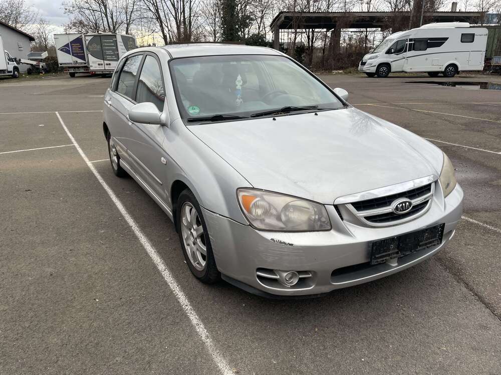 Cerato