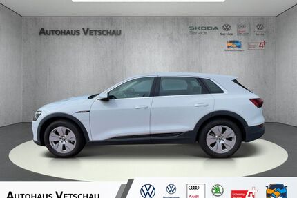 Audi e-tron Gebrauchtwagen