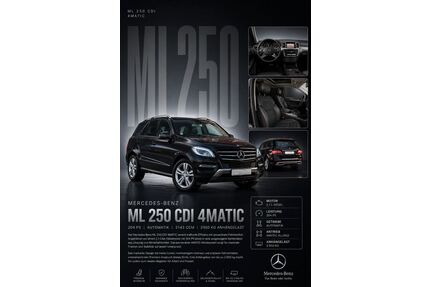 Mercedes-Benz ML 250 Gebrauchtwagen