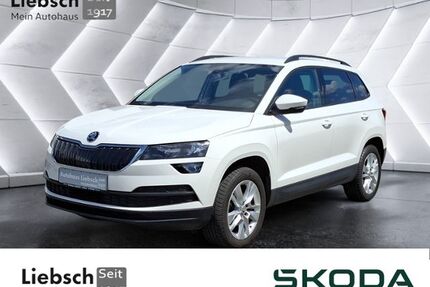 Skoda Karoq Gebrauchtwagen