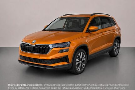 Skoda Karoq Gebrauchtwagen