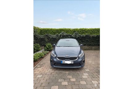 Kia ceed / Ceed Gebrauchtwagen