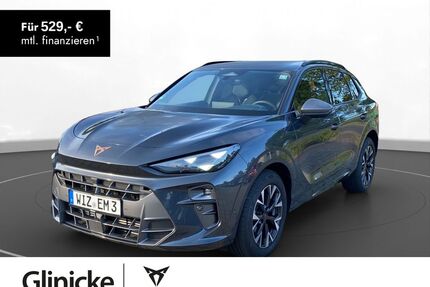 Cupra Terramar Gebrauchtwagen