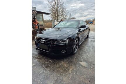 Audi A5 Gebrauchtwagen