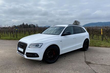 Audi Q5 Gebrauchtwagen