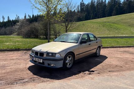 BMW 316 Gebrauchtwagen