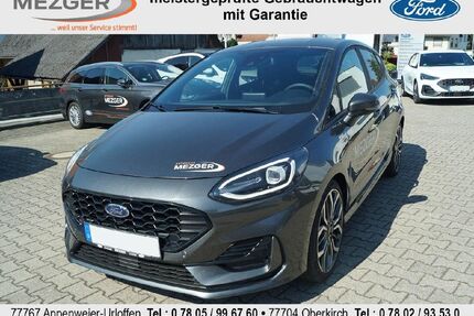 Ford Fiesta Gebrauchtwagen