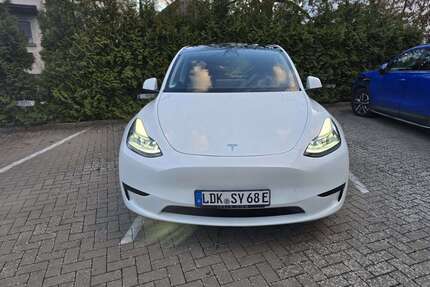 Tesla Model Y Gebrauchtwagen