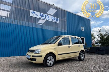 Fiat Panda Gebrauchtwagen