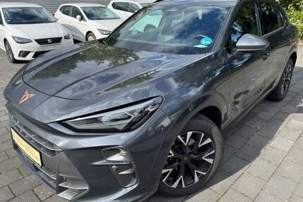 Cupra Terramar Gebrauchtwagen