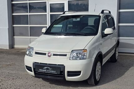 Fiat Panda Gebrauchtwagen